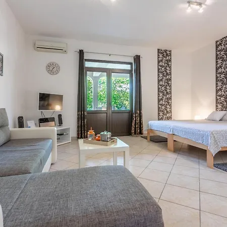 Milojka 公寓 茨里克韦尼察